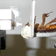 Image for article titled A Cockroach Can Bite Five Times Stronger Than a Human